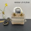 Dior lady raffia small gray bag