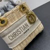 Dior lady raffia small gray bag