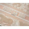 Dior Book Tote small size