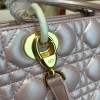 Lady Dior 1637