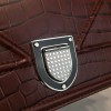 Dior ama 1735