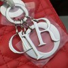 Lady Dior 1619
