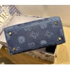Dior Lady D-Lite Embroided Denim 24cm