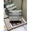 Dior Oblique Gray VANITY BAG
