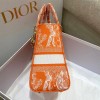 Dior Lady Orange Reverse Embroidery Bag