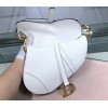 Dior Saddle Bag