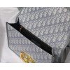 Dior Montaigne Oblique gray bag