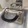 Lady Dior mini 1561