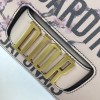 Dior Evolution Bag 1797