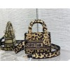Dior lady Maria Grazia bag 17cm