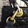 Lady Dior 1571