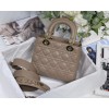 DIOR My ABCDIOR Lady Brown Lambskin Bag M0538