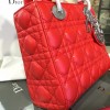 Lady Dior 1629