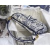 Dior Saddle Maria Grazia Chiuri bag