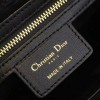 Dior FENCE 1762