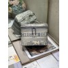 Dior Oblique Gray VANITY BAG