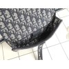 DIOR BLUE SADDLE DIOR OBLIQUE POCHETTE