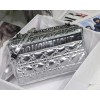 Dior Caro Silver Metallic 25cm