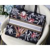 Dior Small Book Tote 001