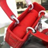Lady Dior 1629