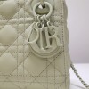 Dior Lady Mini Lambskin Bag Matte Green 17cm