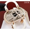Dior lady raffia medium gray bag