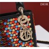 Dior Mesh embroided colorfull mini bag