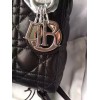 Lady Dior mini 1558