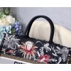 Dior Small Book Tote 001