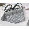 Dior Montaigne Oblique gray bag