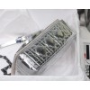 Dior Caro Silver Metallic Small 20cm