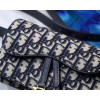DIOR OBLIQUE SADDLE BELT BAG