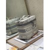 Dior Oblique Gray VANITY BAG