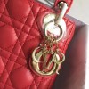 Lady Dior mini 1546