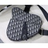 Saddle Oblique bag