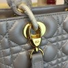 Lady Dior 1643