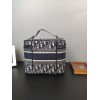 DIOR OBLIQUE VANITY BAG