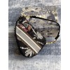 Dior Saddle Bag 001