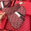 Dior Women Saddle Bag in red Canvas M0446