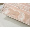 Dior Book Tote small size