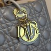 Lady Dior 1646