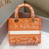Dior Lady Orange Reverse Embroidery Bag