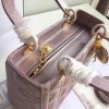 Lady Dior 1564