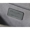 Dior OBLIQUE VANITY BAG