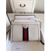Gucci Ophidia Bag