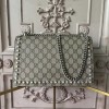 Gucci Dionysus 017