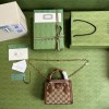 GUCCI Diana bamboo handle Bag