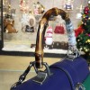 Gucci Dionysus medium top handle bag blue/green/red leather