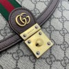 Gucci Ophidia small top handle bag
