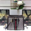 Ophidia GG medium top handle bag